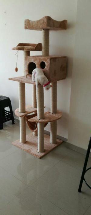 Gimnasio para Gato 133
