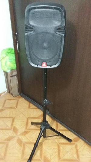 Vendo Vafle De12pulgadas American Sound