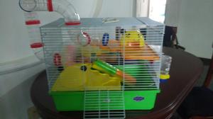 Casa para Hamster, de Dos Pisos