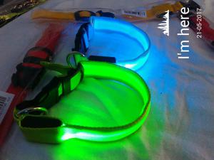 Collares Led para Tu Mascota