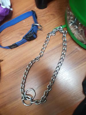 Collares para Perro