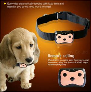 Gps tracker para Perro