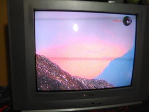 Televisor