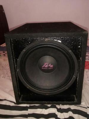 Vendo Parlante Audio King de 10''