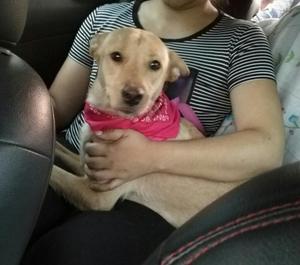 Cali Adopcion Sofia Hermosa 8 Meses