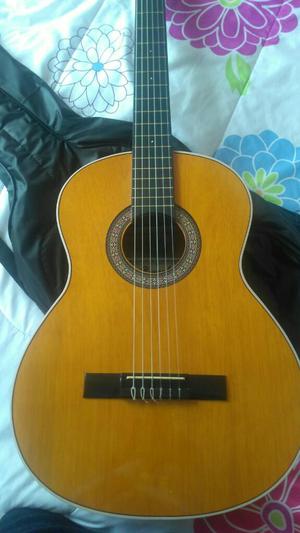 Guitarra Acustica