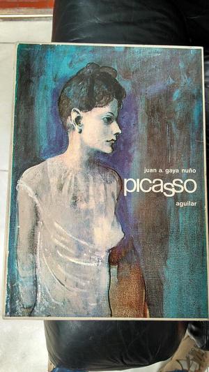 Picasso, Libro