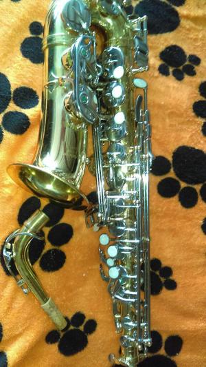 Saxofon Alto Winston Boston
