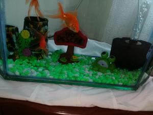 Se Vende Acuario