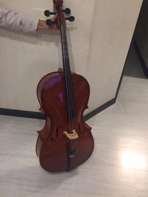 Cello De 1/2 + Forro