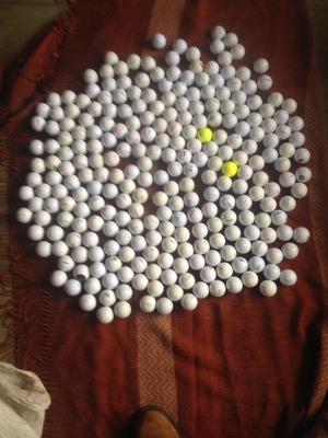 bolas de golf 300 bolas $ 