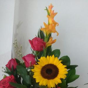 Destunos Sorpesa, Anchetas, Merienda.