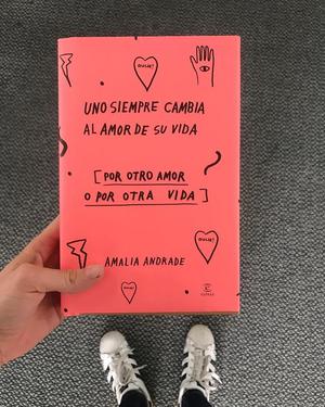 Libro Amalia Andrade