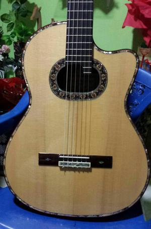 Vendo Guitarra Profesional