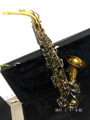 Vendo O Cambio Saxofon Selmer