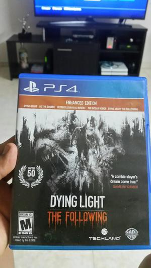 The Dying Light The Following