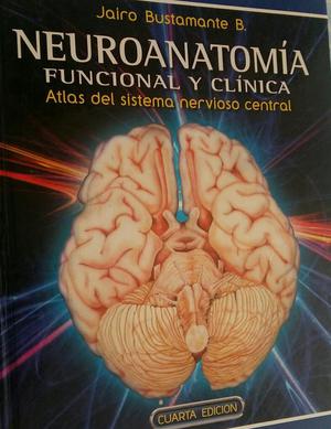 Neuroanatomia de Bustamante