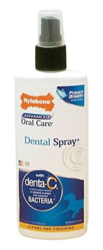 Nylabone Avanzada Oral Care 4 Oz Perro Dental Aerosol