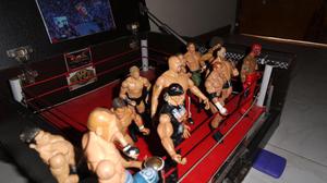 Ring Grande y 12 Figuras de la WWE