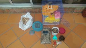 Jaula Y Laberinto para Hamster Ganga