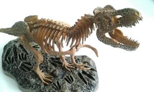 Dinosaurio Fosil