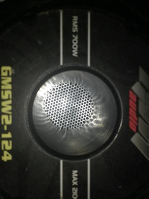 Bajos 12 Gm Audio 700 Watts