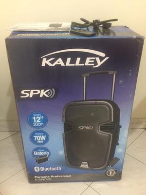 PARLANTE PROFESIONAL MARCA KALLEY