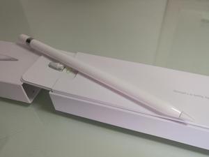 Pencil Y Estuche iPad Pro