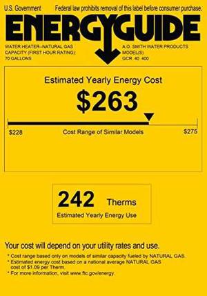 Calentador De Agua A Gas A.o. Smith Gcr-40