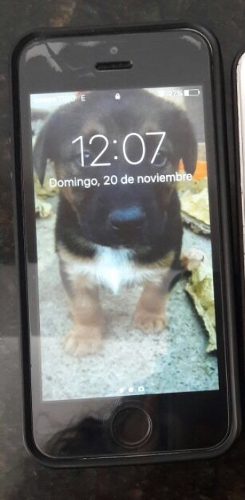 Iphone 5s 16gb Ganga 2x1