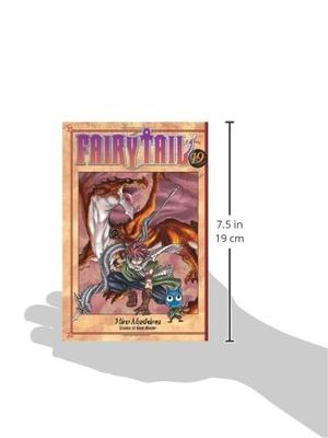 Libro Manga Fairy Tail 19