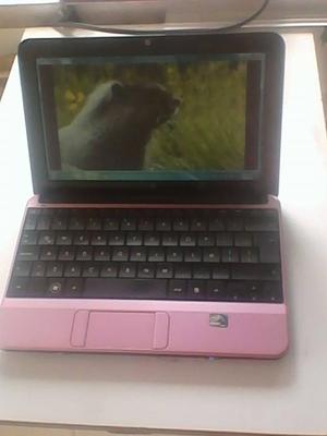 Netbook HP Mini LA, Color Rosa