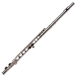 Flauta Con Embocadura Recta Gemeinhardt 2sp