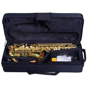 Profesional Eb Alto Saxofón Saxofón Con Caja Y Accesorios