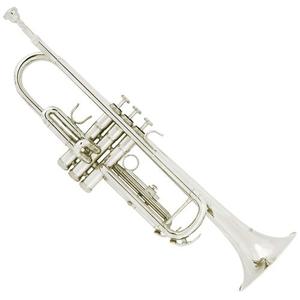 Trompeta Bb Principiante Plata Niquelado Con Sintonizador, C
