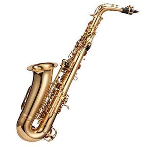 Windsor Mi- Estudiante Saxofón Alto Conjunto