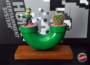 Cactus Tematicos Mario Bros