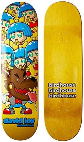 Patineta Birdhouse Skateboards David Loy