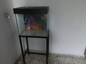 Pecera