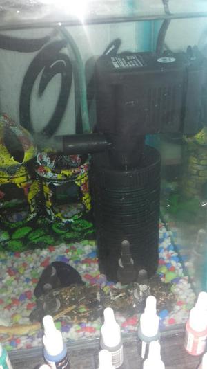 Vendo Pecera 4 Peces, Motor Nuevo