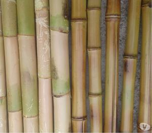 Venta cañabrava, bambú limpio, inmunizado