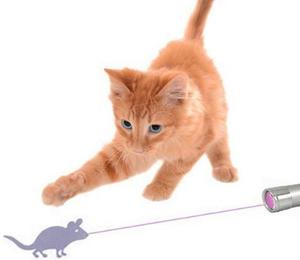 Laser Con Forma De Ratón - Juguete Para Gato O Perro