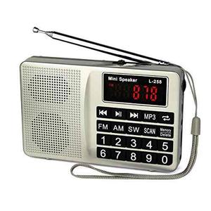 Tivdio L-258 Radio De Transmisor Digital De Onda Corta Po...