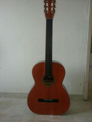 guitarra marca