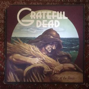 Greatful Dead Wake Of The Flood Vinilo