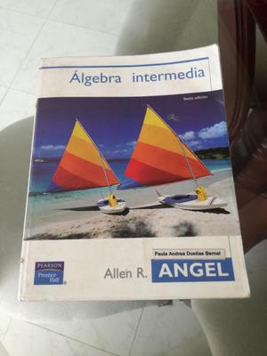 ÁLGEBRA INTERMEDIA Allen R. Angel Sexta edición
