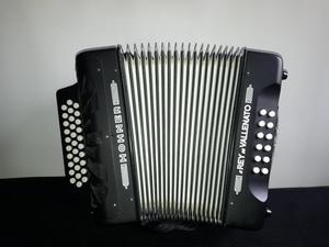 ACORDEON REY VALLENATO 5 LETRAS