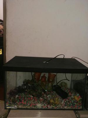 Acuario con Todos Sus Accesorios