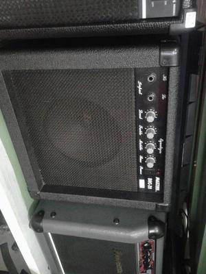 Amplificador de bajo en Excelente Estado