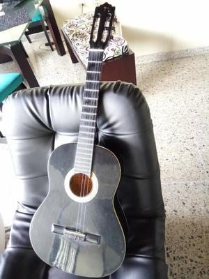 Guitarra Marca Palmer